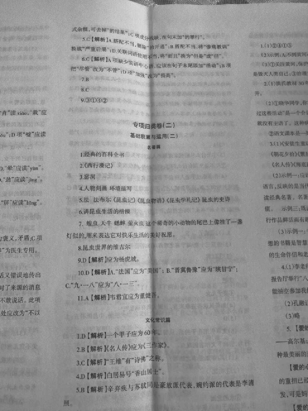 2025三肖必中特三肖中特期期准警惕虚假宣传、全面解答与解释、科学解答解释落实