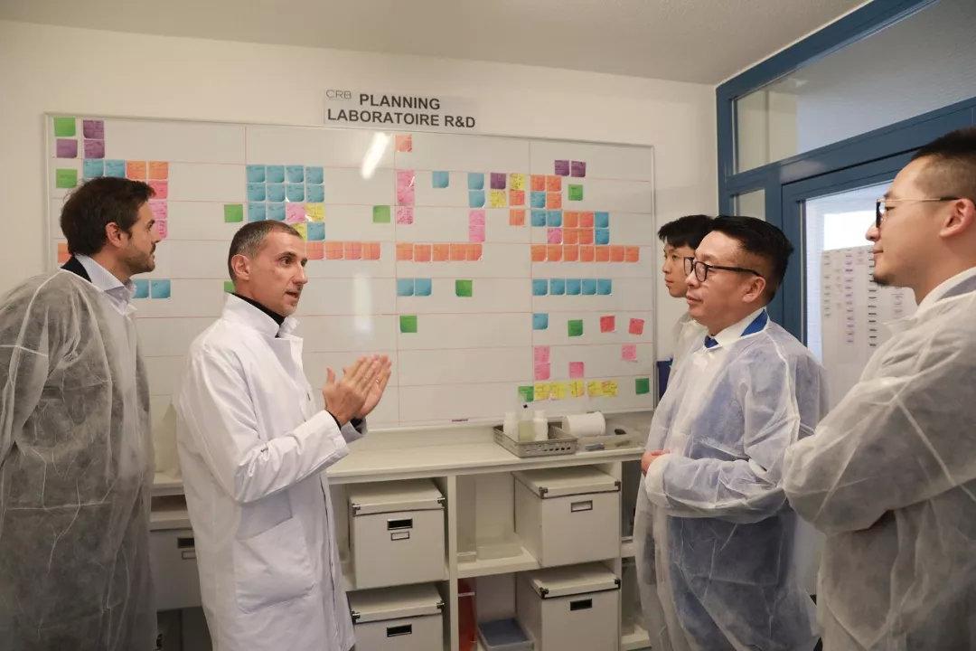 2025天天彩免费资料大全，详细解答、前沿解答解释落实