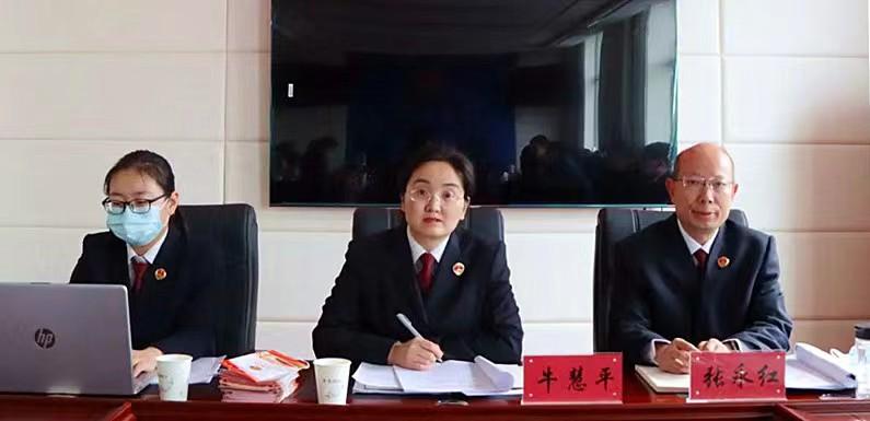 2025年新澳天天开彩最新资料，详细解答、构建解答解释落实